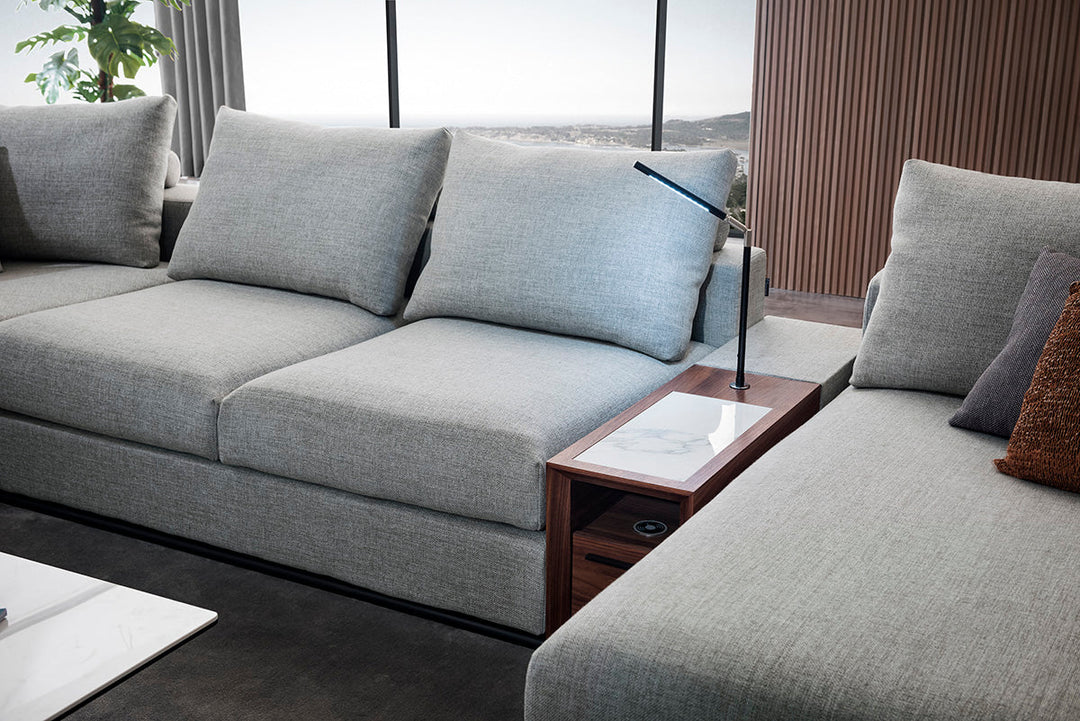 GS9001 Classic Minimalist Sofa With Wood Table